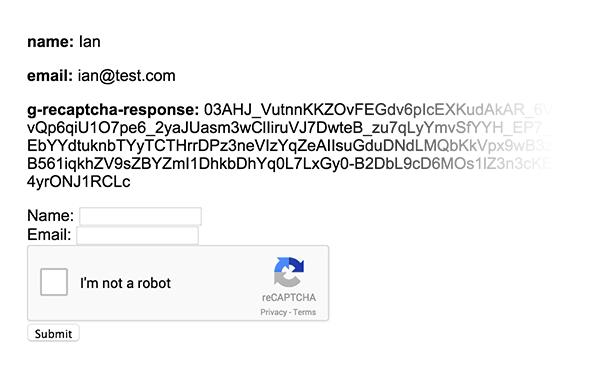 نحوه استفاده از No CAPTCHA reCAPTCHA در وب سایت