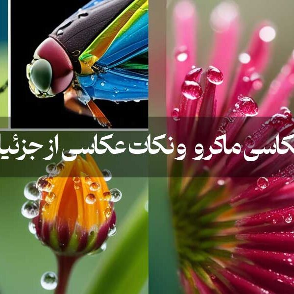عکاسی ماکرو و نکات عکاسی از جزئیات