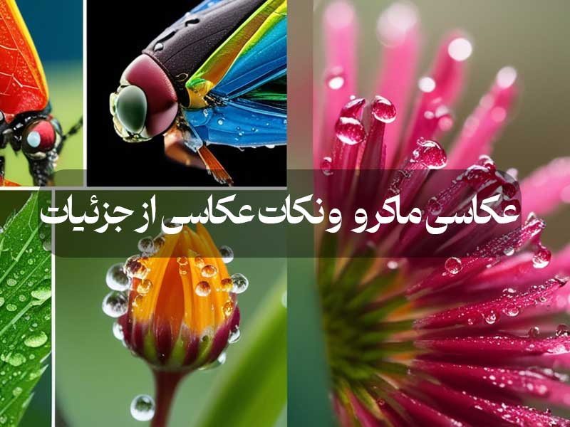 عکاسی ماکرو و نکات عکاسی از جزئیات